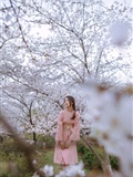 As the wind warms, cherry blossoms will be a small April(20)